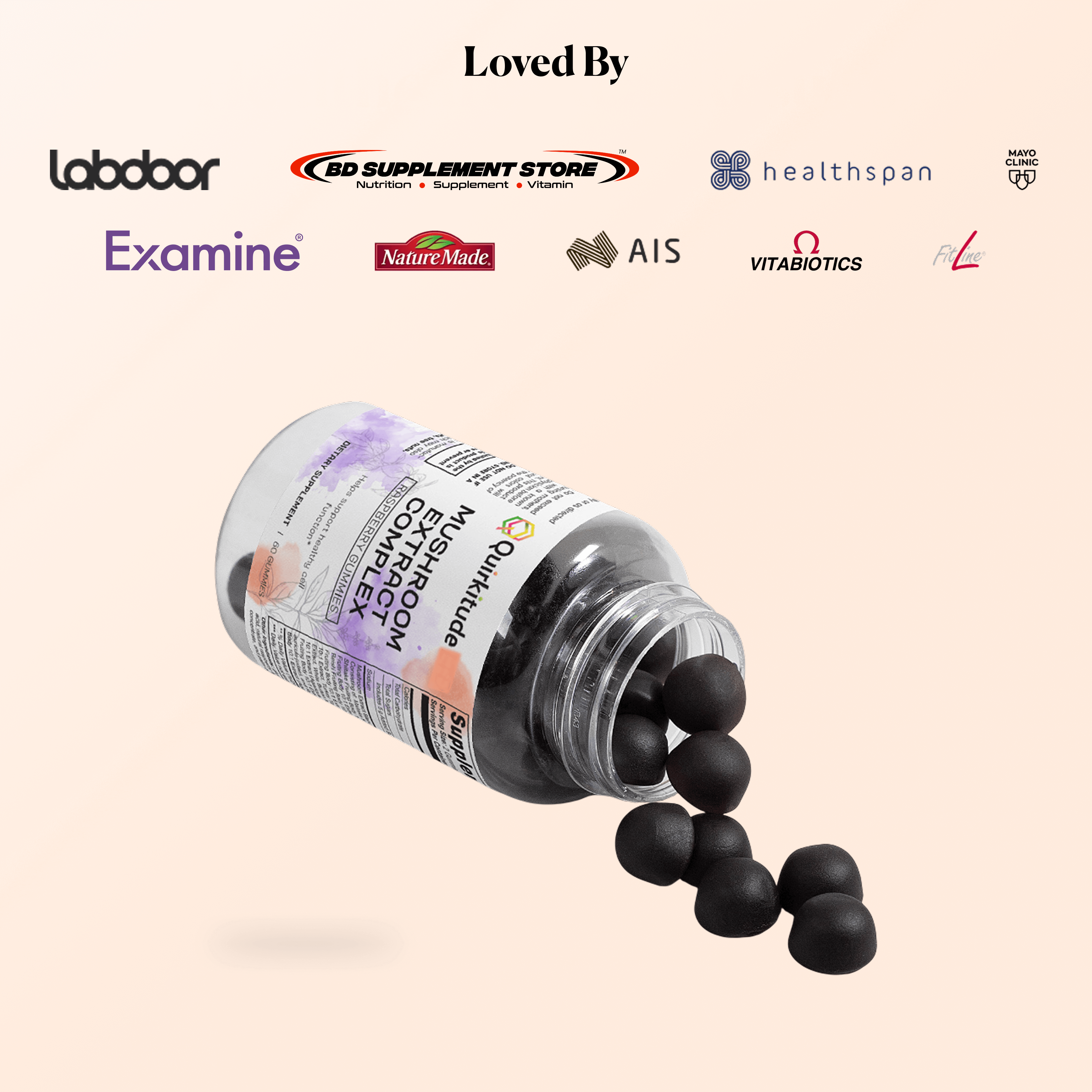 Adaptogens for Focus Gummies Supplement | Quirkitudes