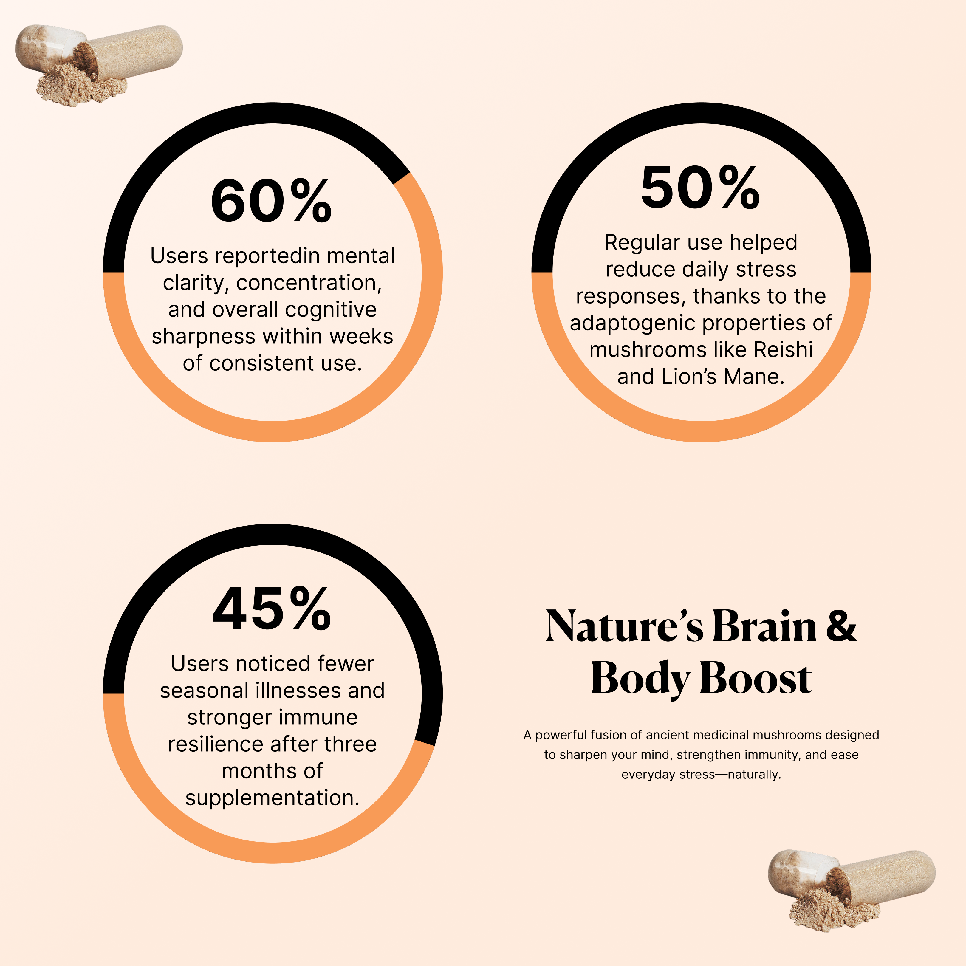 Gut-Brain Axis Supplements with Mushrooms | Quirkitudes