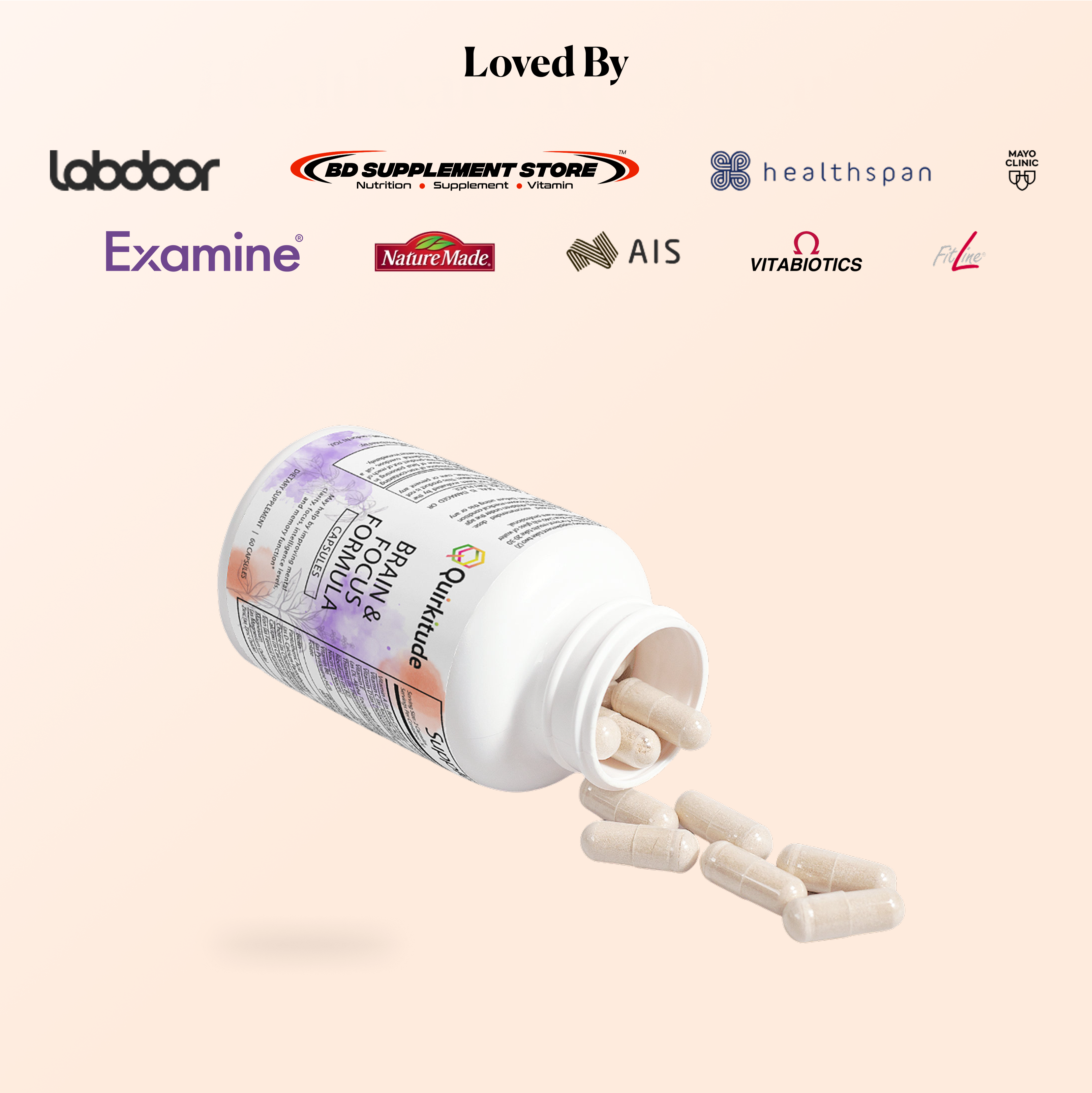 Supplements for Neurodivergent Adults Focus | Quirkitudes
