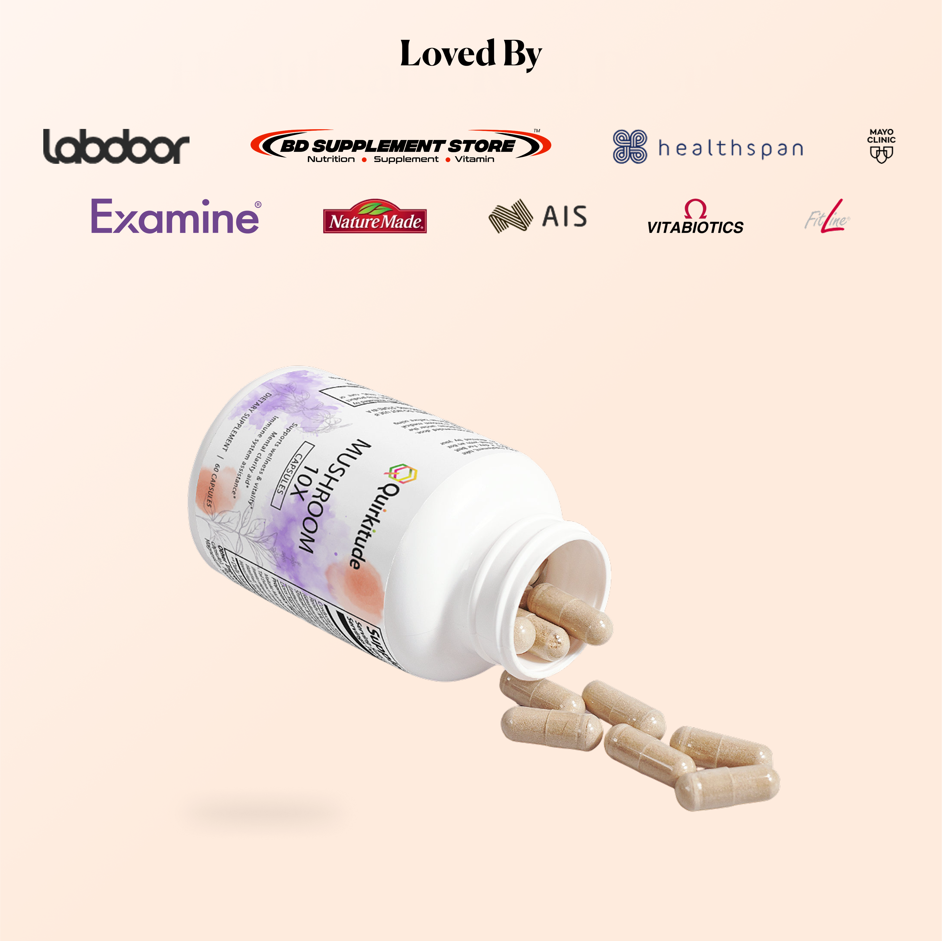 Gut-Brain Axis Supplements with Mushrooms | Quirkitudes