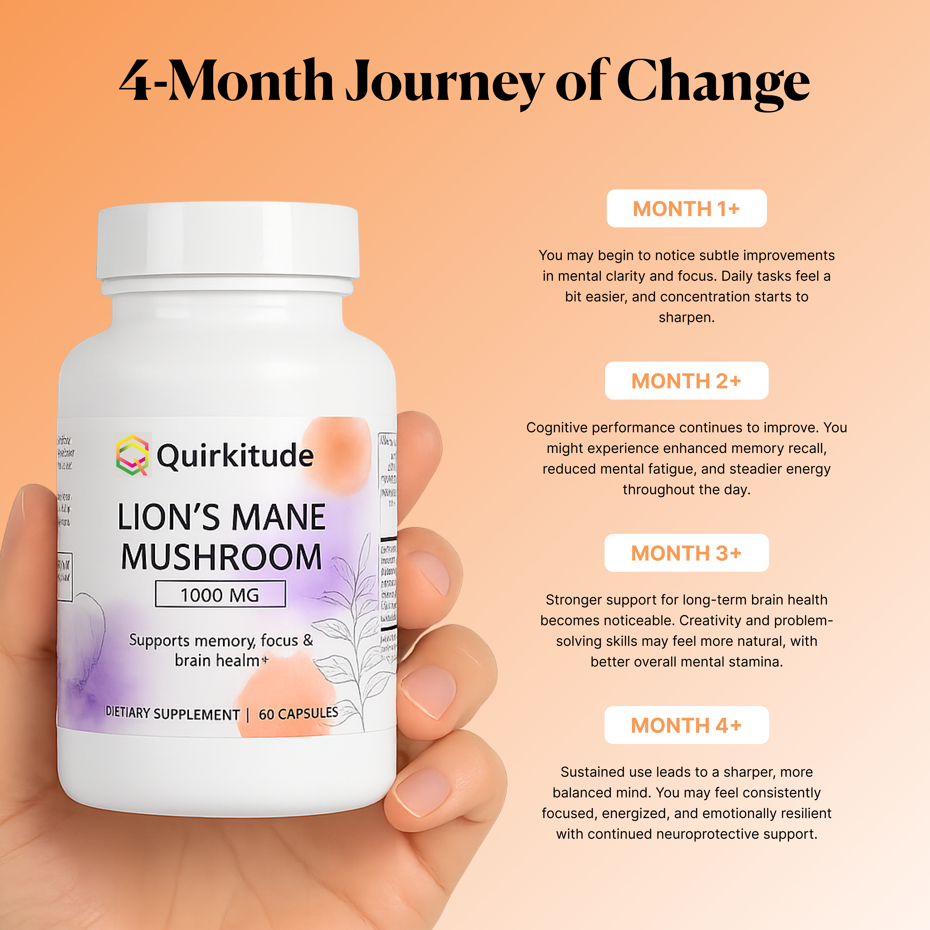 Focus Support Mushroom Capsules Lion’s Mane | Quirkitudes